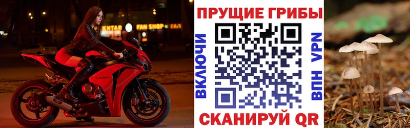 Галлюциногенные грибы MAGIC MUSHROOMS  наркотики  Островной 